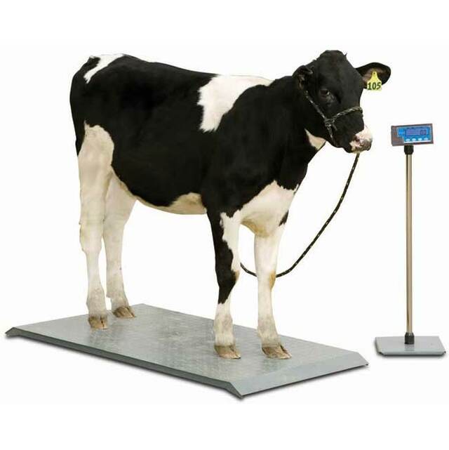 BRECKNELL PS-2000 VETERINARY FLOOR SCALE