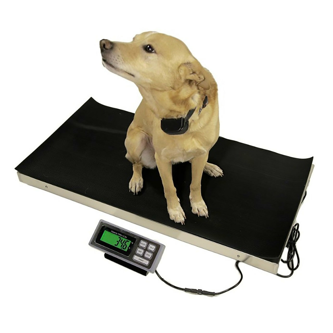 How can I make my own weighing scale?